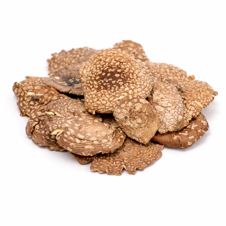 Amanita regalis قبعات كاملة - درجة ب