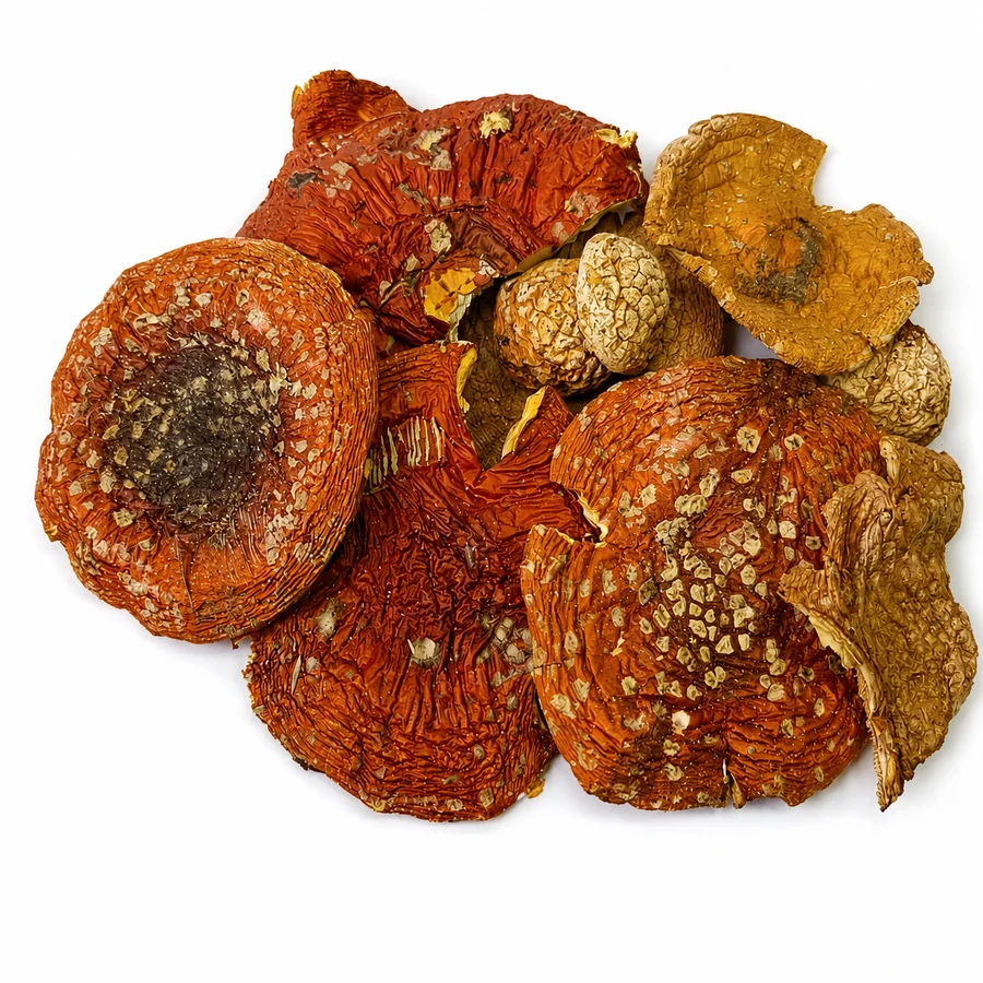 Amanita muscaria Třída B