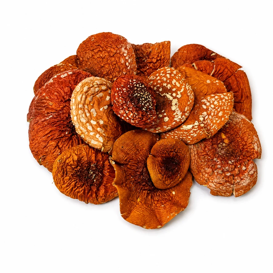 Amanita muscaria تنسيقات الجملة