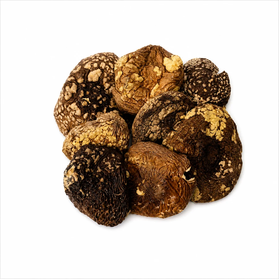 Amanita regalis تنسيقات الجملة