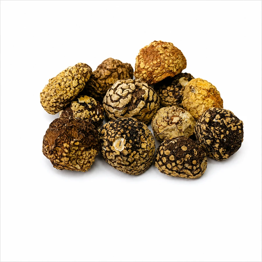 Amanita regalis قبعات كاملة غير مفتوحة