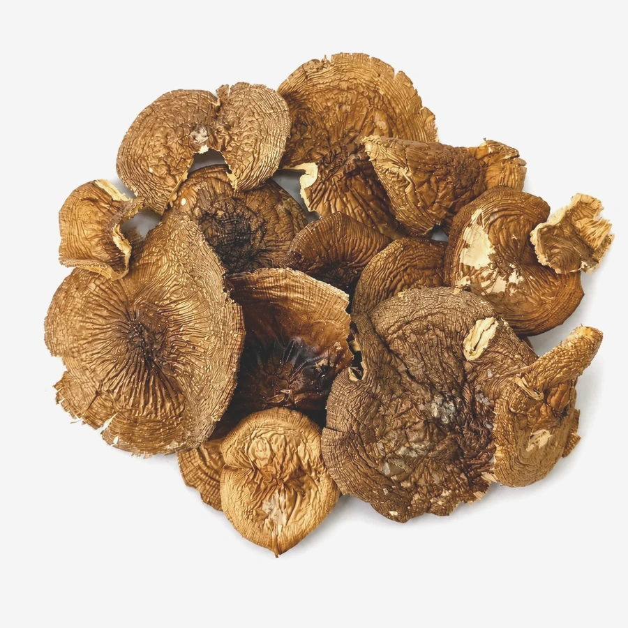 Amanita pantherina wholesale formats