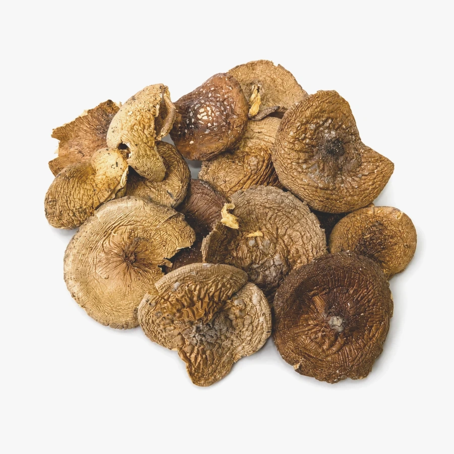 Amanita pantherina whole caps - Grade B